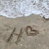 halol555