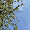 frida_0805