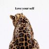 laurenche_velle