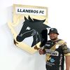 davidrocha61