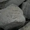 rachelemanfredii