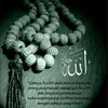 ushqim_nutrimento