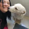 valentinaborrel