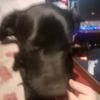 kenditagamer152
