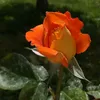 lunvilla1