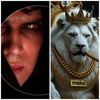 medhatmohamed7