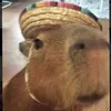 kiarmira