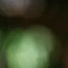 jenna_cosmole