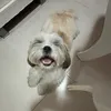 dgabyrs