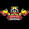 miran_detailing