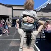 carleigh_layton