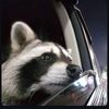 nour_.hamdi