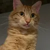 ineedacrunch