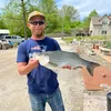 sawyerdigman