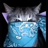 emmalandro_444
