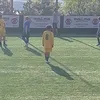bardalez55