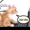 yak_ekisde
