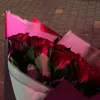 nasslmr_