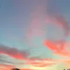iwannasaveahorse