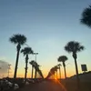 _lilycleveland_
