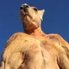 acura_godz2