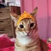 nicolaszapata