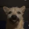 lemonpepperflavoredtoe