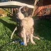 zeus.the.saint