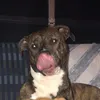 drllngt
