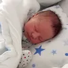 stephanie835