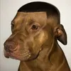 tkfransisco