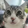 del_439