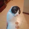 blorpflorp87