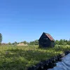 mitchell_2502000