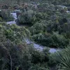 hereinpalmbeach