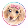 littlemissharlowdoxie
