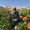 nassersafarnejadb