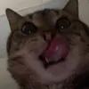 tenaj._