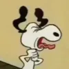 videostvr_