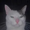 user0283829191938