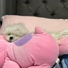alyssaxo24