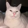 hambrrsamb