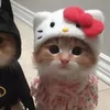 banisbunnys