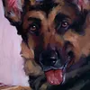 the_pet_painter