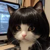 omeador66