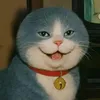 nguynphng3
