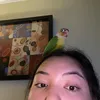 gabbiebui