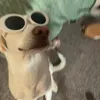 stephgozz