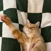 orangecatmum