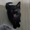 lifeoflunadixon
